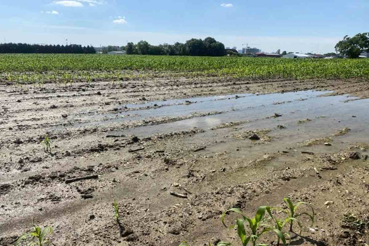 تسطیح زمین و پیشگیری از سیلاب و آب گرفتگی