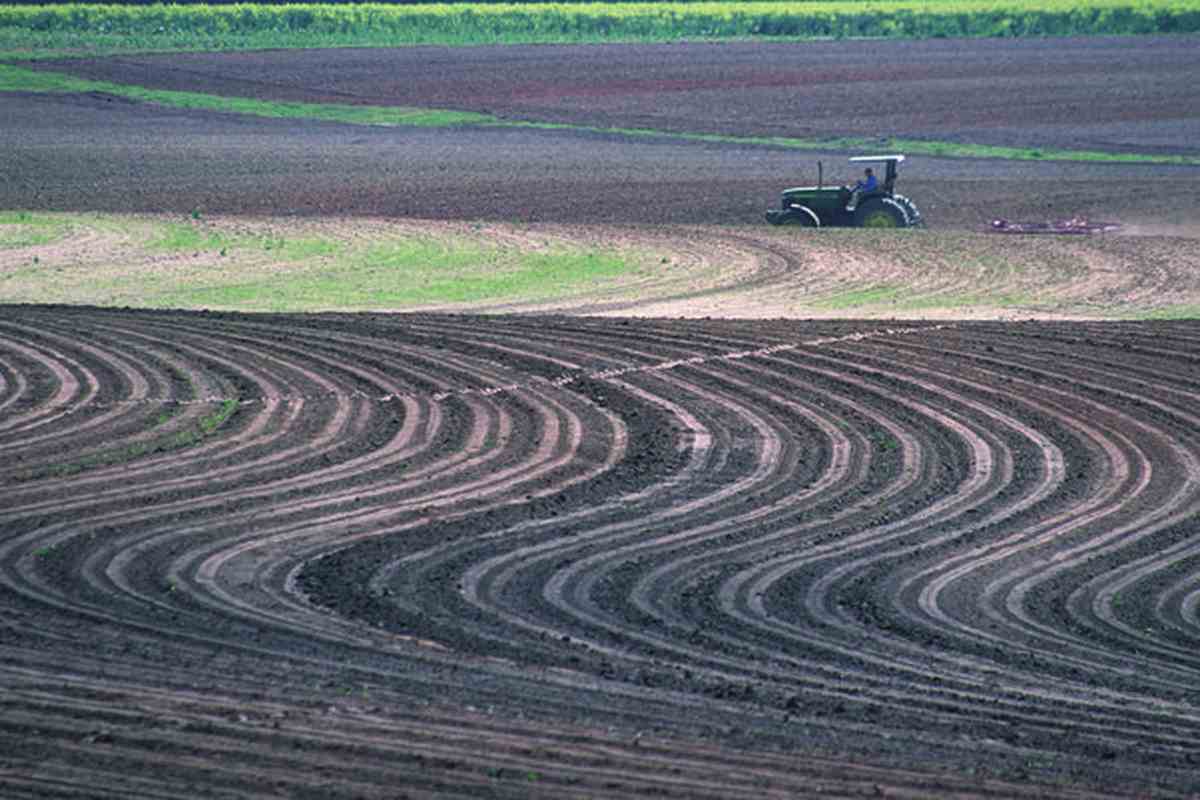 اقدامات اولیه در اماده سازی زمین